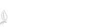 Aurora Servizi